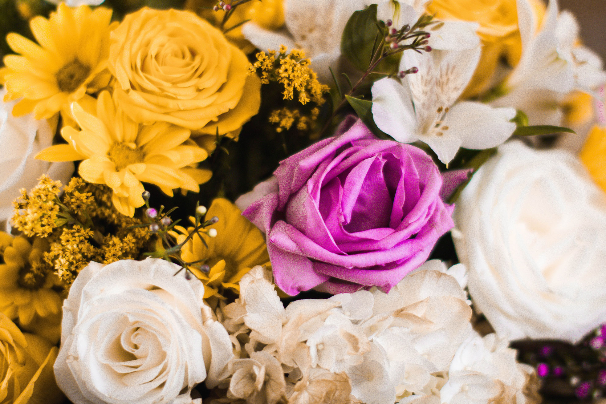 About COCO Floristry