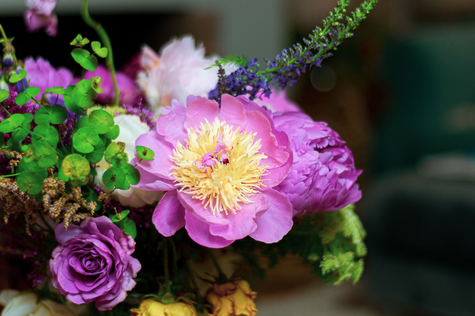 Contact COCO Floristry